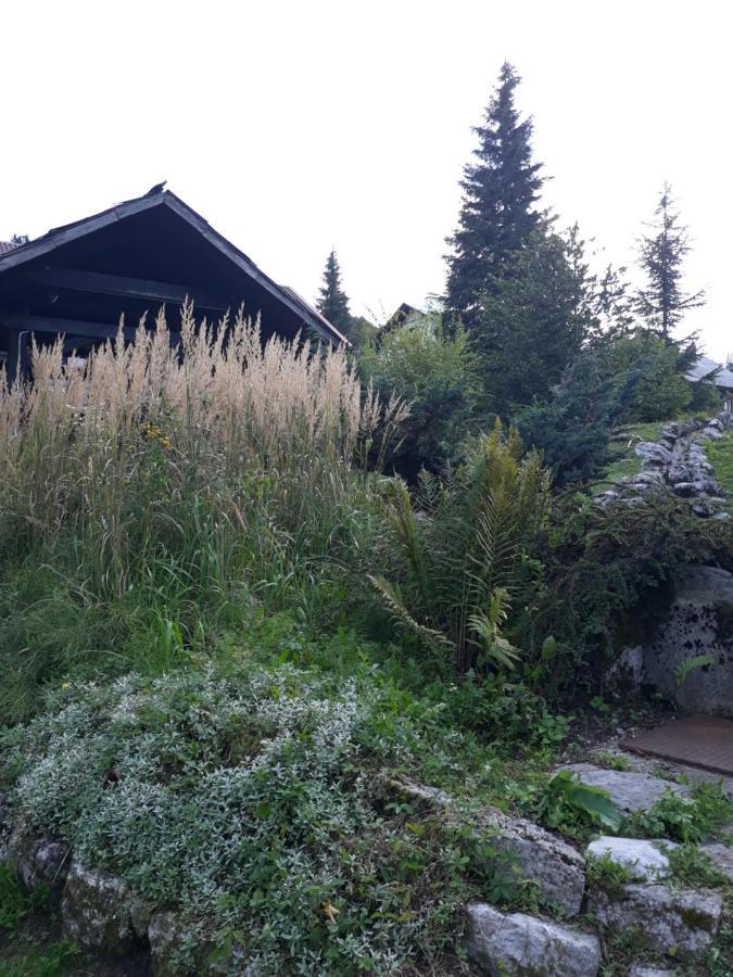Apartmani Gruzdovo Delnice Exterior foto